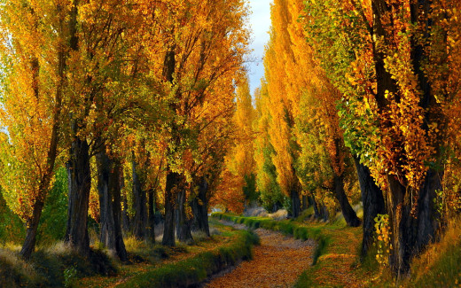 1344530 (a): :1920x1200